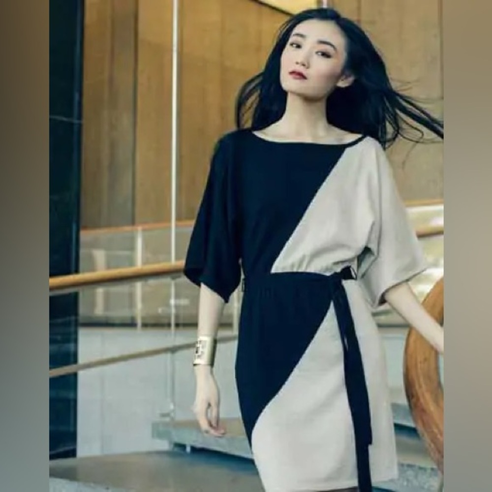 Trina Turk Merino Wool Color Block Dress Dolman Sleeves missing tag but I’m a 6